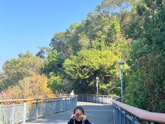 -金鸡山公园