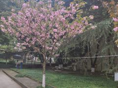 -南山植物园
