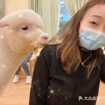 撸羊驼撸奈良鹿撸鸭撸兔撸猫撸狗一条龙~