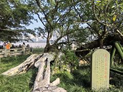 -江心屿景区