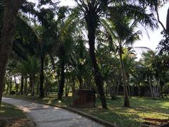 -红色娘子军纪念园