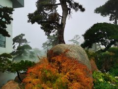 -罗红摄影艺术馆