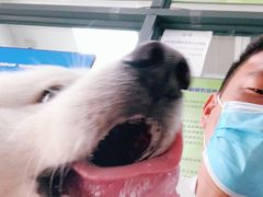 -申普宠物医院·眼科·心内科·影像科(普陀分院)