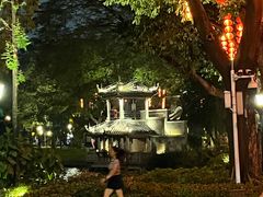 -荔湾湖公园