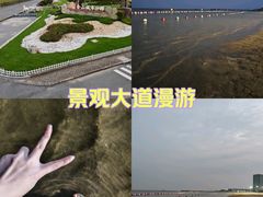 -上海金山城市沙滩