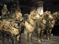 -秦始皇帝陵博物院-丽山园