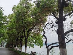 -东湖落雁景区