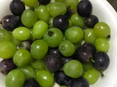 -马陆小张葡萄园农家乐