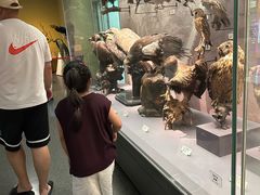 -天津自然博物馆