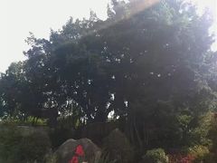 -乌山风景区