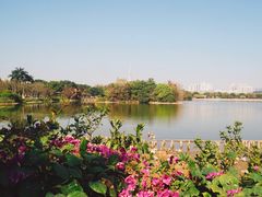 -海珠湖公园