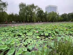 -迎泽公园