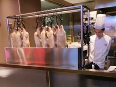 -宏宴·新京菜(望京店)