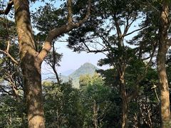 -梧桐山风景名胜区