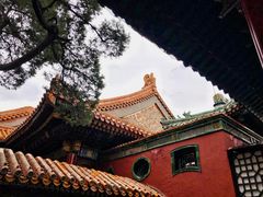 -故宫博物院(故宫)