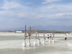 -盐湖景区