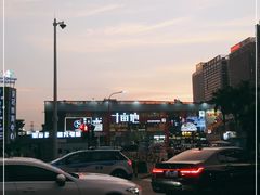 -野萃山·潮汕厚果汁(十亩地店)