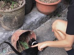 -小洲村