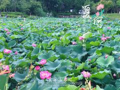 -金典银峰老鹅馆·昆山菜(亭林公园店)