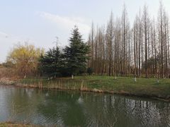 -南湖湿地公园
