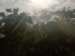 -浮山香苑