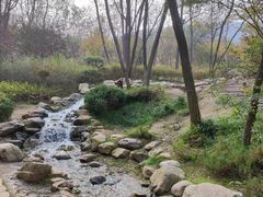 -大连植物园