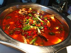 -宽口美蛙鱼头(大唐西市店)
