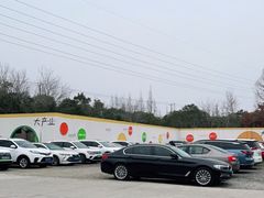 -前小桔亲子创意农场·草莓采摘·露营烧烤