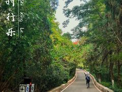 -云龙山