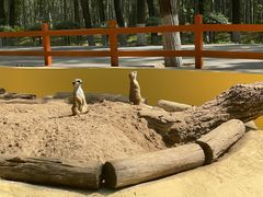 -北京野生动物园