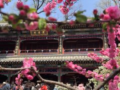-潭柘寺景区