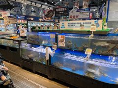 水产区-盒马鲜生(皇庭广场店)