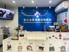 -全心全意连锁动物医院·微创中心·内科急重症·心脏专科(丰管路店)