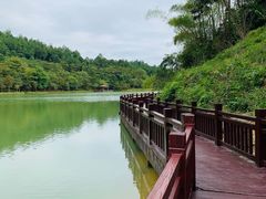 -广州白江湖森林公园