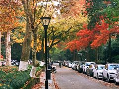 -浙江大学(玉泉校区)