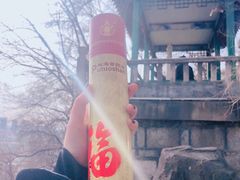 -高尔山公园