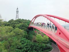 景点-金鸡山公园
