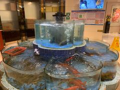 -广州酒家(昌岗地铁站店)