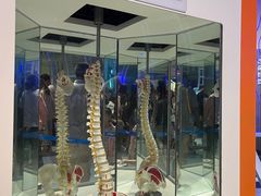 -广东科学中心