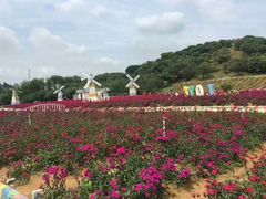 -松山湖梦幻百花洲