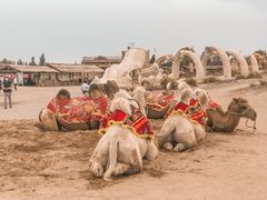 -镇北堡西部影城