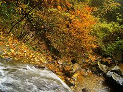 景点-藏龙百瀑风景区