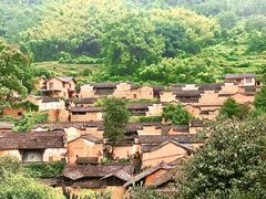 -杨家堂村