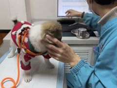 -派联宠物医院·24h·CT·异宠