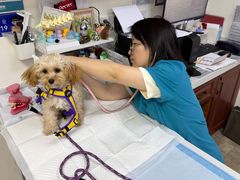 -美联众合动物医院·24h转诊中心