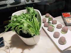 -同仁四季椰子鸡(福田东园总店)