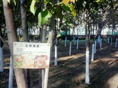 -辽宁大学(崇山校区)