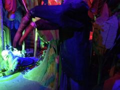 -锦江乐园舞狸花花游园会(夜场专享)