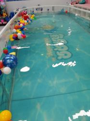 -沫奇婴幼儿水育馆(青山湖万达店)