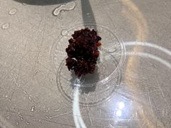 -生态苑农庄(十里画廊遇龙河店)